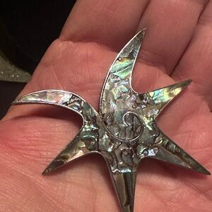 Vintage Taxco Abalone Sea Star Brooch